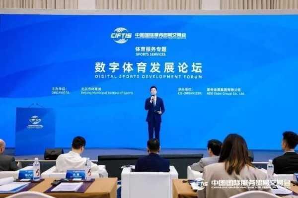 直播体育意甲,数字时代的体育狂欢与产业变革 直播体育意甲,数字时代的体育狂欢与产业变革