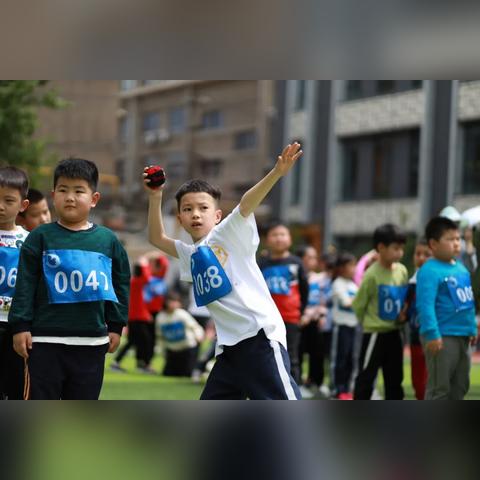 力量与激情，解码力量体育直播的魔力