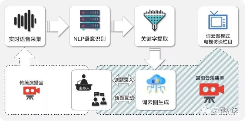 从传统转播到实时互动，NRL体育直播的数字化转型与未来趋势