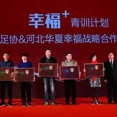 创新赋能，激情绽放，解码锐意体育直播的多元生态