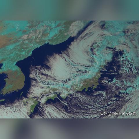 数据风暴中的体育直播，实时比分如何重塑观赛体验与产业格局