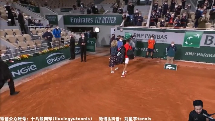 法网体育直播，全球视野下的体育盛宴与数字时代的技术革命