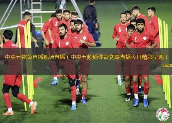 第五体育直播，重构体育内容与社交场景的科技新范式