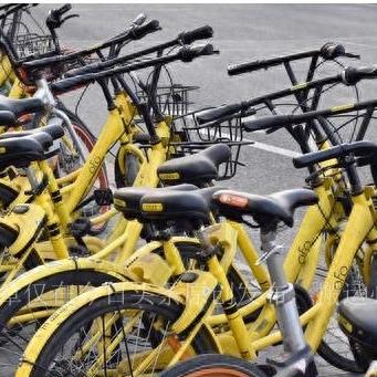 破界而生，解码体育直播的颠覆性进化