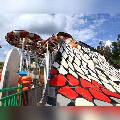 体育直播，数字时代的全民狂欢与产业革命