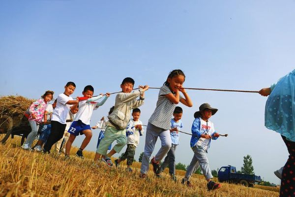 麦田里绽放体育之光，直播新势力如何重塑体育生态
