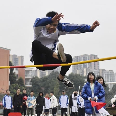 直播纬来体育，一场永不落幕的体育盛宴