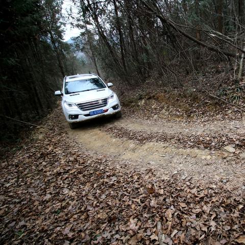风驰电掣，解码风速直播如何重塑体育观赛体验