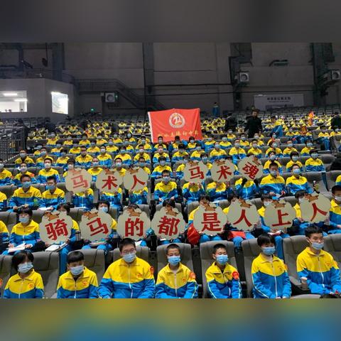 84直播，体育直播的革新与体育迷的沉浸式体验