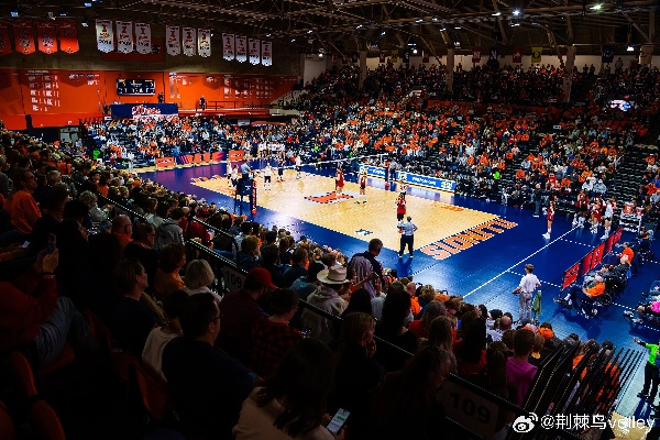 明珠体育直播，体育迷的终极观赛指南与体育生态革命