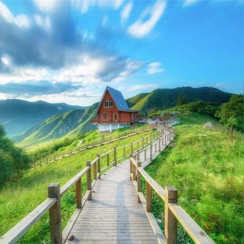 沉浸式体验，体育视频直播完整版如何重塑观赛文化