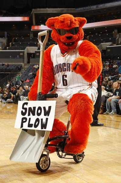 山猫体育，从专业装备到全民运动的领航者