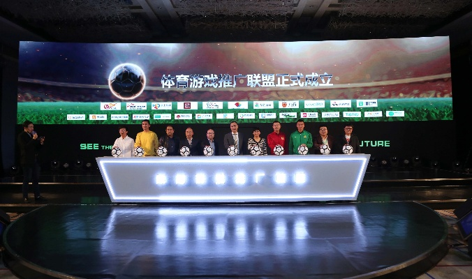 沉浸式体验，麻花体育直播如何重塑体育娱乐生态