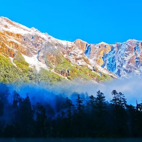 免费畅享体育赛事盛宴，新英体育网直播全攻略