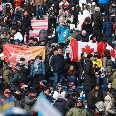 直播新纪元，体育大鱼如何重塑观赛体验