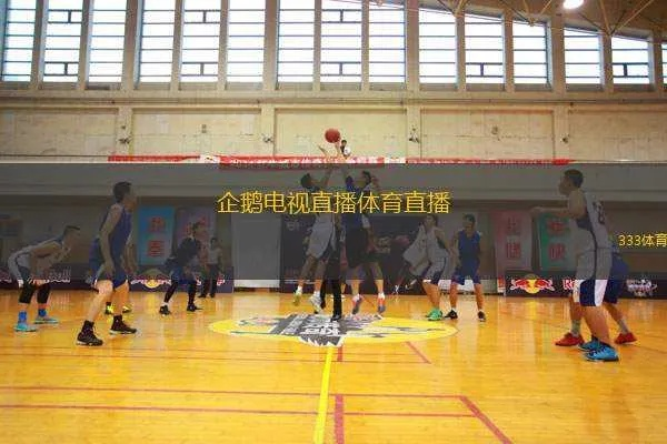 直击赛场，企鹅体育男篮直播如何重新定义篮球观赛体验