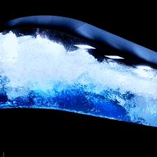 直播时代下的体育狂欢，从技术革新到文化重塑