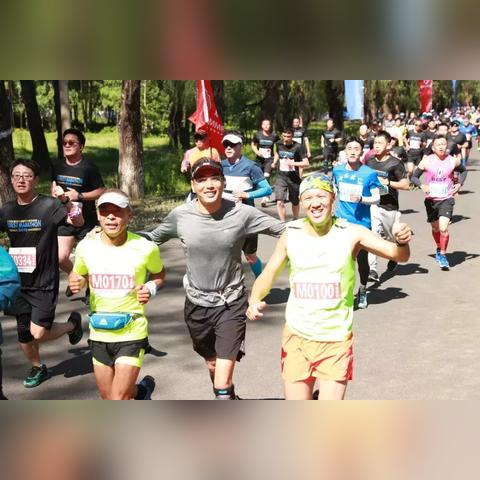 畅享激情赛事，如何免费畅享全球体育赛事直播