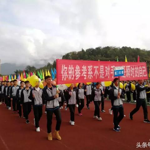 直播纬来体育，一场永不落幕的体育盛宴