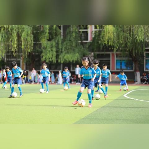 力量与激情，解码力量体育直播的魔力