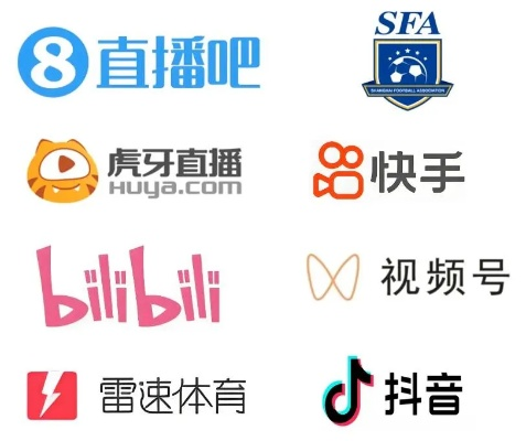 饭团直播体育，粉丝互动新纪元与体育传播的革新