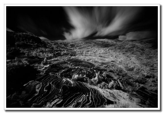 体育直播赌博，暗流涌动的灰色地带