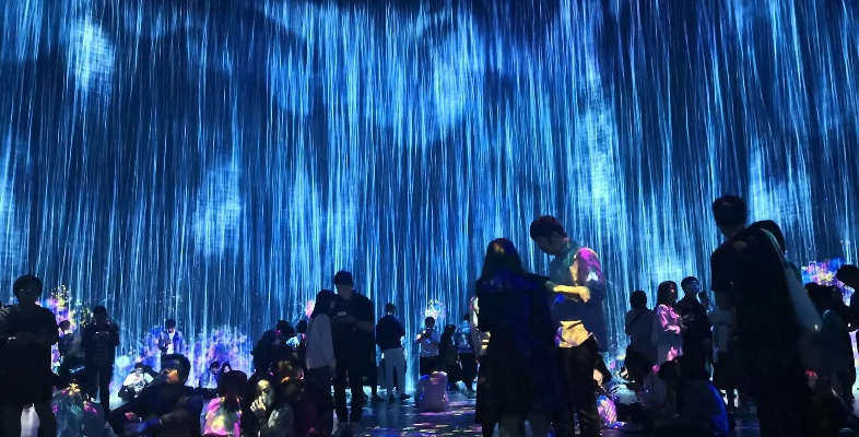 沉浸式体验，体育摔跤直播如何重塑观赛文化与产业生态