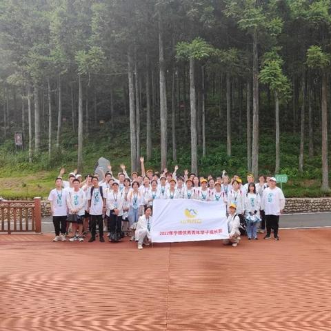 沉浸式体验，沁源体育直播如何重塑体育赛事观看生态