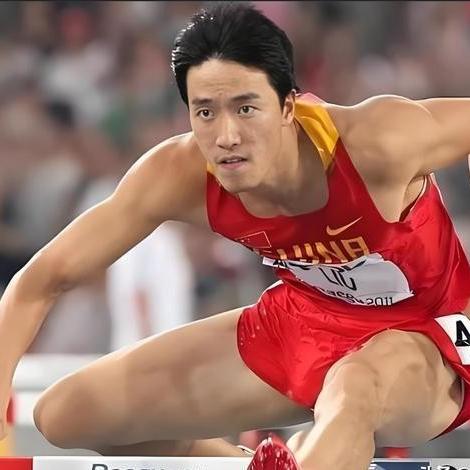 直播新纪元，体育大鱼如何重塑观赛体验