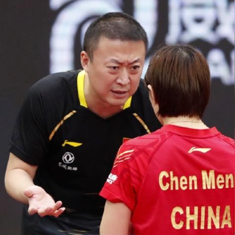 萌熊当道,体育直播新势力如何颠覆传统观赛体验 萌熊当道,体育直播新势力如何颠覆传统观赛体验