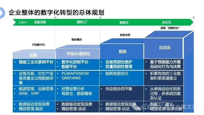 体育频道直播平台，数字化转型的核心战场与未来趋势探析