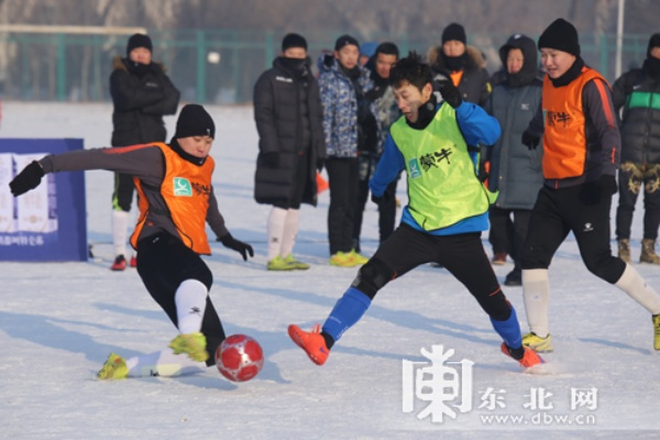 直播辽宁体育直播，探索东北体育文化的独特魅力