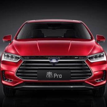 云端跃动，雨燕直播间的体育生男友