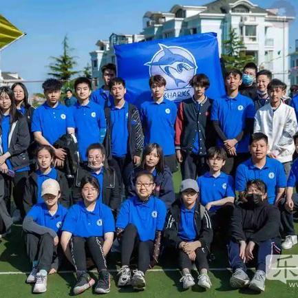 乐鱼体育直播，沉浸式观赛新体验，体育迷的终极狂欢场