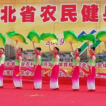 直播赋能体育，定州打造区域化体育文化新生态