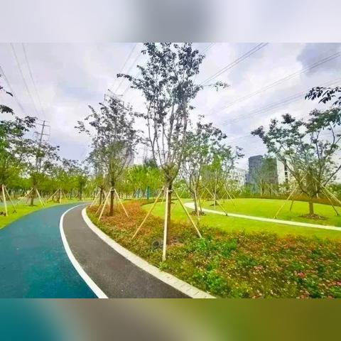 天空体育直播2，重塑体育观看体验的科技革命