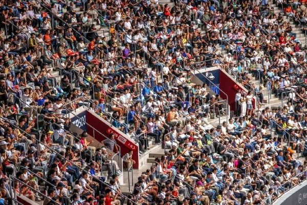 明珠体育直播，体育迷的终极观赛指南与体育生态革命