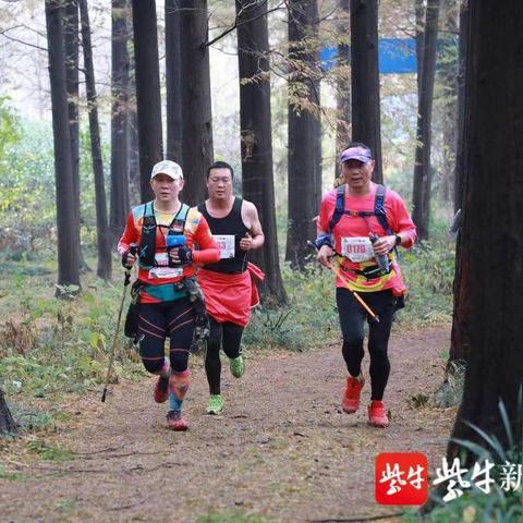 直播赋能体育产业,丹阳模式探索全民健身新路径 直播赋能体育产业,丹阳模式探索全民健身新路径