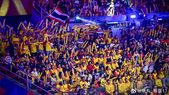 纬来体育NBA直播，体育传媒的革新者与球迷的狂欢盛宴