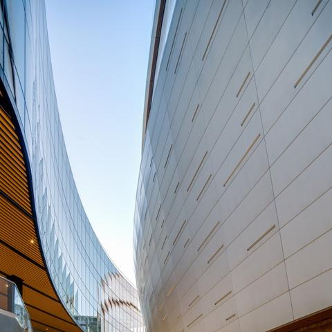 直播时代，体育产业的流量狂欢与未来挑战