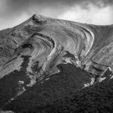 大狗体育直播，重塑体育娱乐新体验的全方位平台