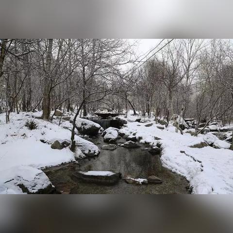 冰雪激情，云端狂欢，解码冬季体育直播的多元魅力