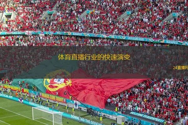 沉浸式体验，体育直播观看的演变与未来趋势