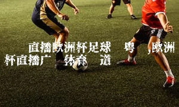 粤韵观球，广东体育NBA直播吧，打造沉浸式观赛新体验