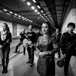 龙珠直播，体育直播的革新者与未来