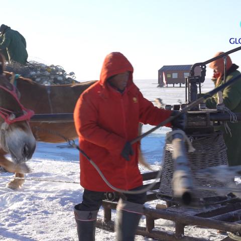 冰雪之省焕新机,吉林直播体育开启全民运动新时代 冰雪之省焕新机,吉林直播体育开启全民运动新时代