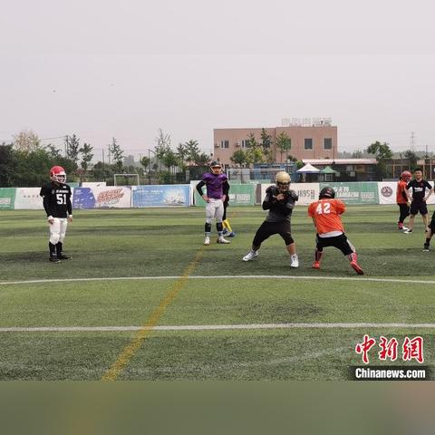 云豹体育直播，重新定义体育观看体验的科技盛宴