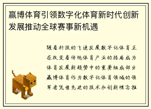 搜狐体育直播，数字时代的体育盛宴与媒体创新典范