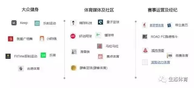 雨燕直播，体育直播领域的破局者与未来图景