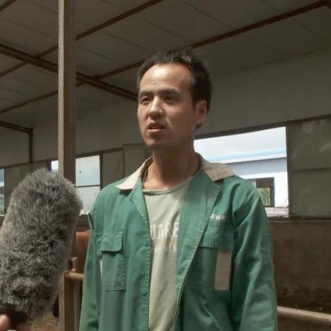 黄河之滨的体育盛宴,宁夏体育直播如何激活城市活力 黄河之滨的体育盛宴,宁夏体育直播如何激活城市活力